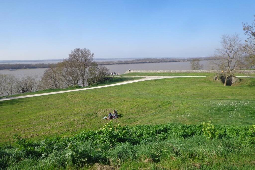 Villa Grange La Bigarderie Blaye Exterior foto